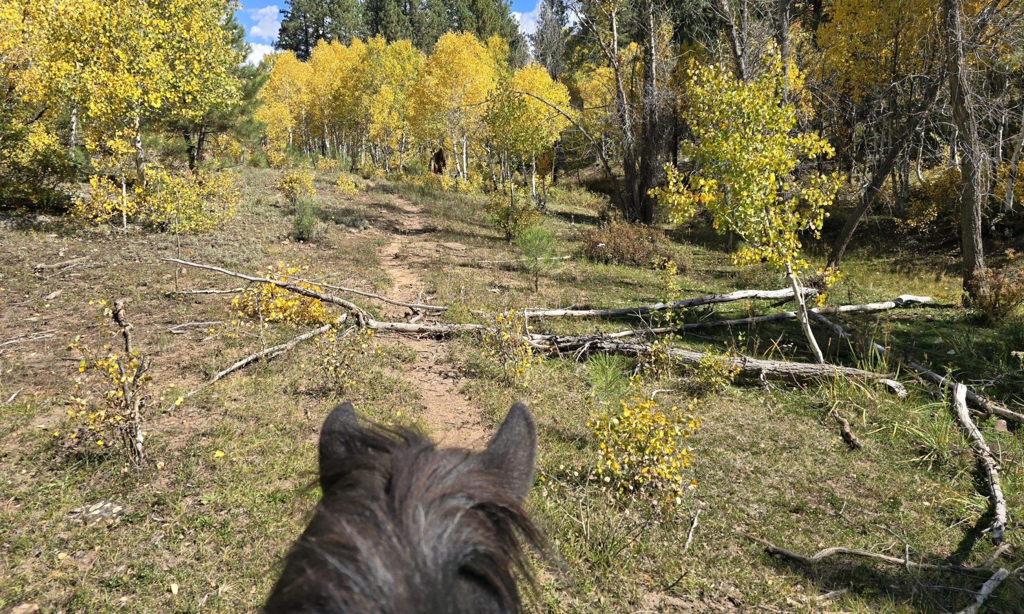 Back Country Horsemen of Colorado